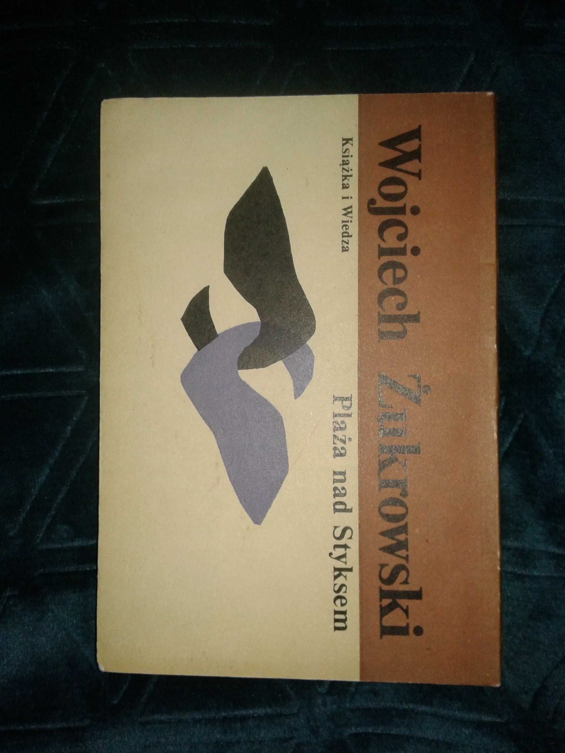 Plaża nad Styksem - Wojciech Żukrowski