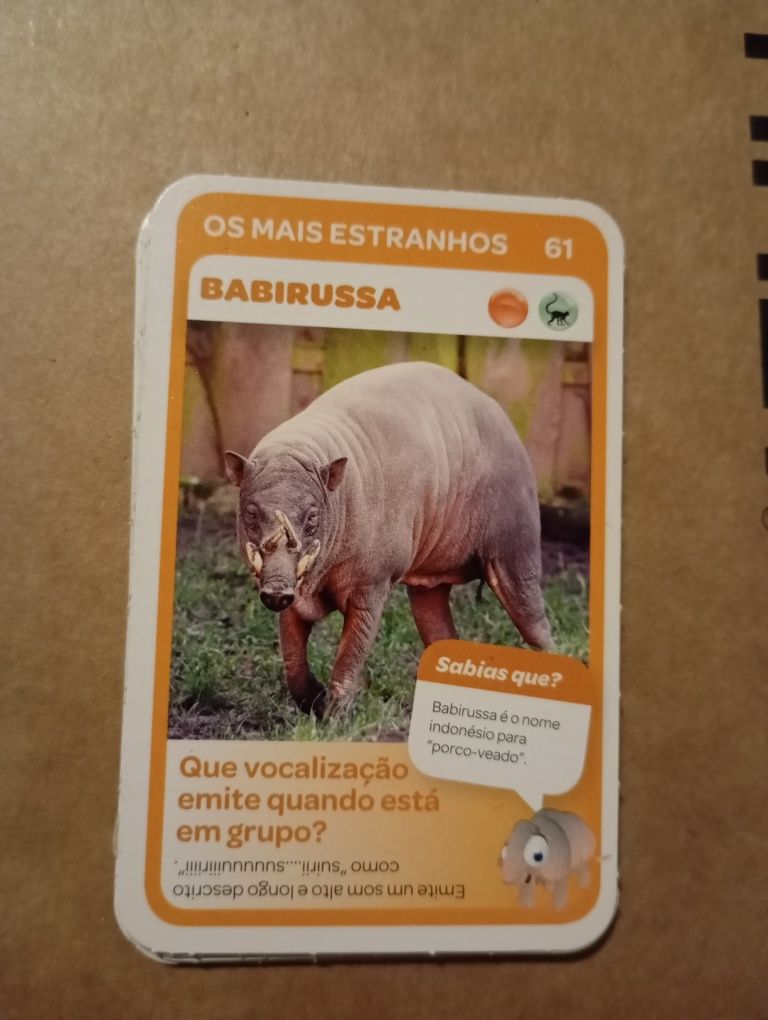 Cartas super animais - vida selvagem