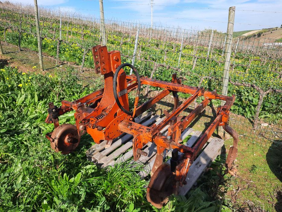 Charrua Vinhateira Galucho