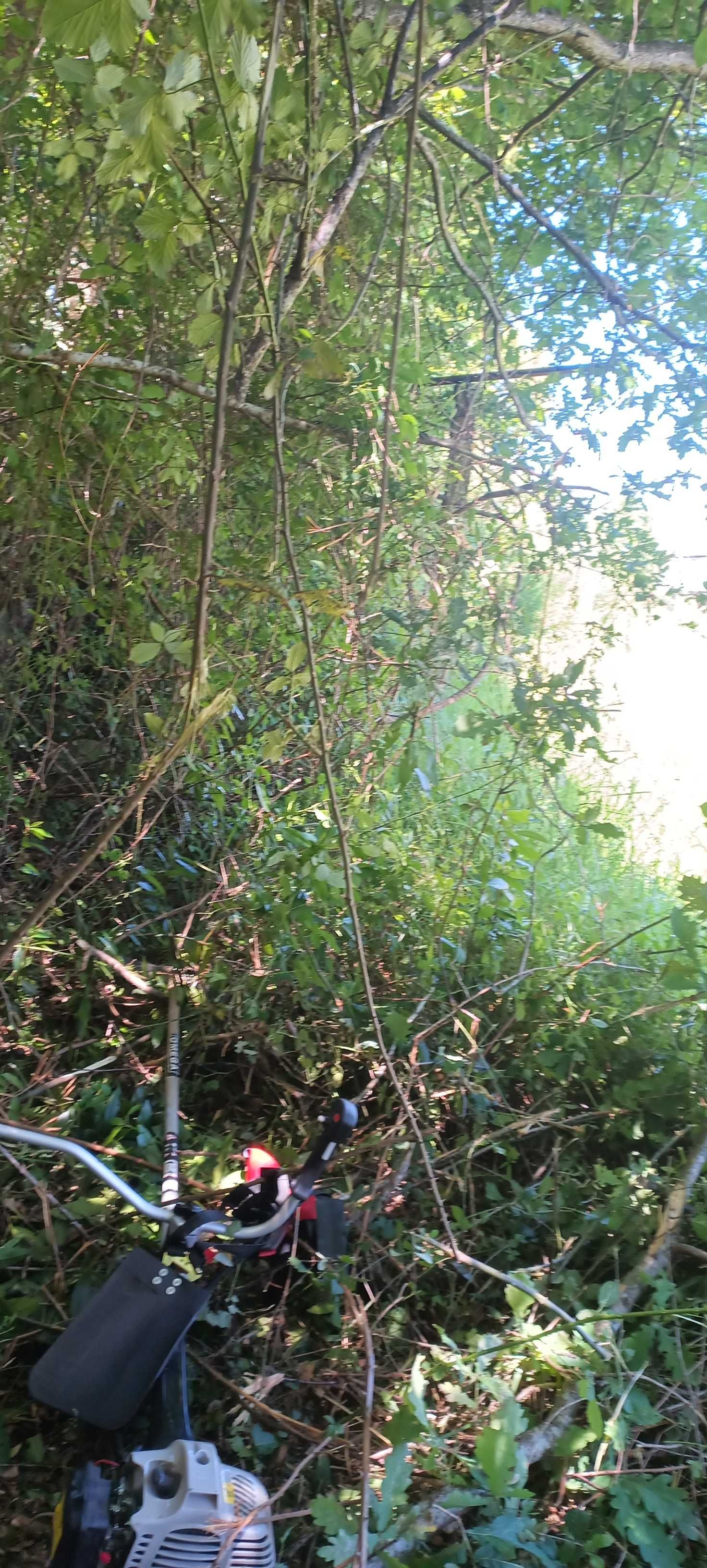 Limpezas de terrenos