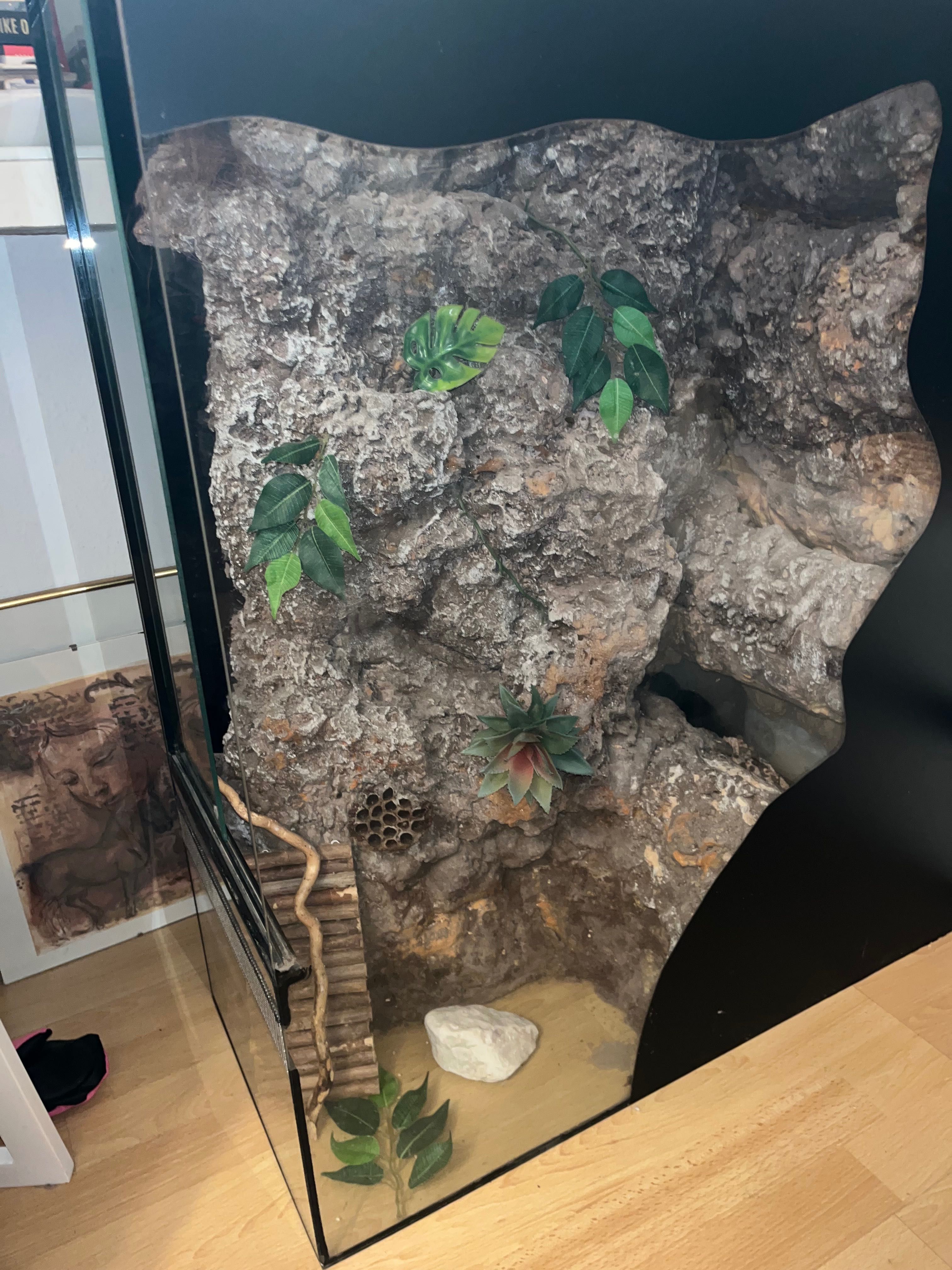 Terrarium pionowe 90x70x35 ze ścianką wyposażeniem gekon płazy