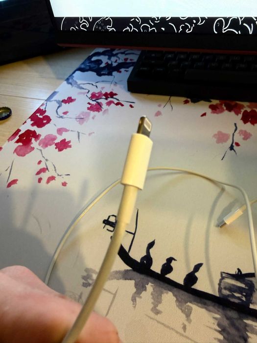 kabel APPLE lighting