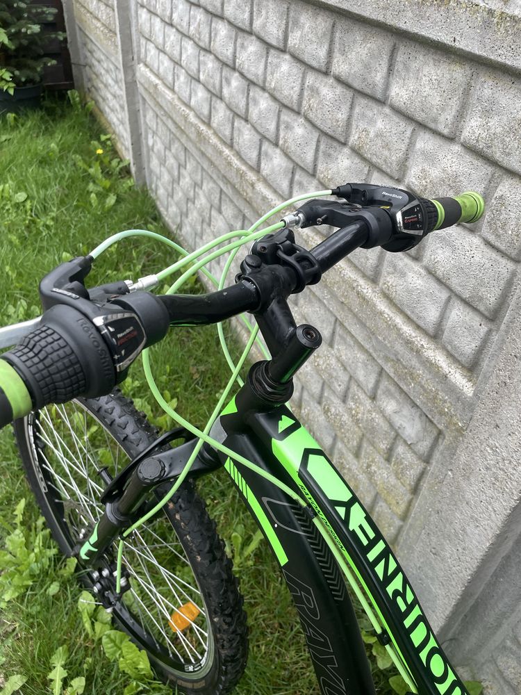 Rayon Journey 24” rower MTB