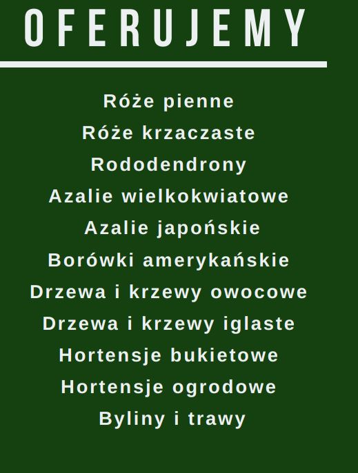 Szkółka drzew i krzewów ozdobnych i owocowych(hortensje,róże, borówka)
