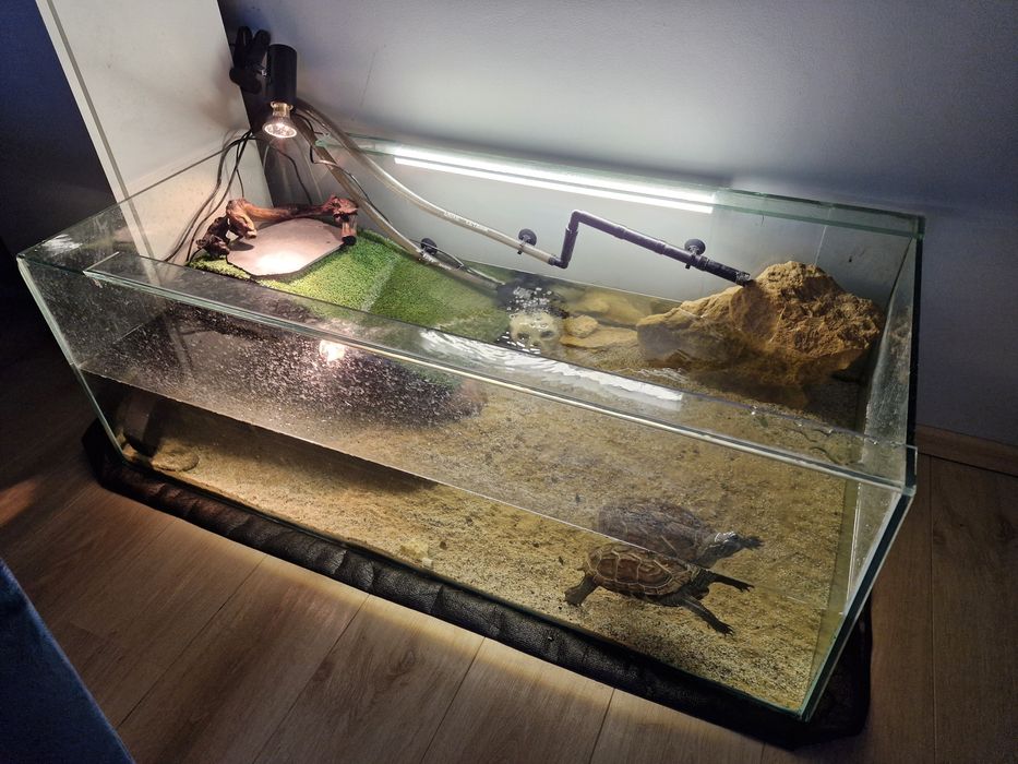 Akwarium 300l żółw chiński akcesoria