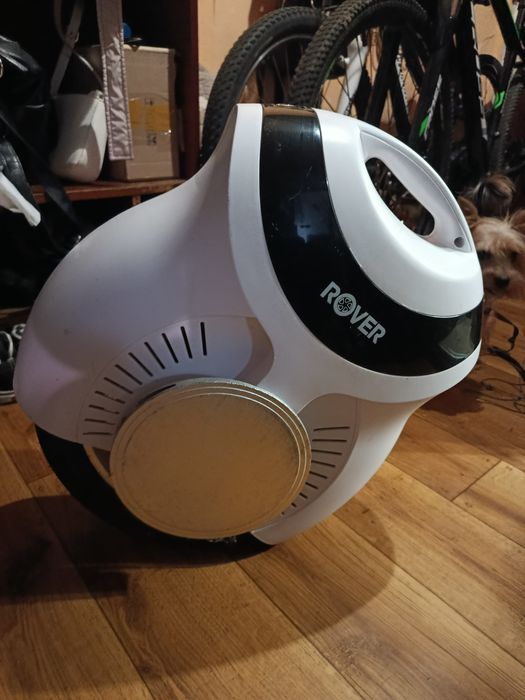 Моноколесо Rover Wind-2