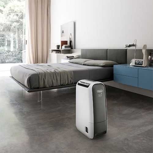 Desumidificador Delonghi DNS65