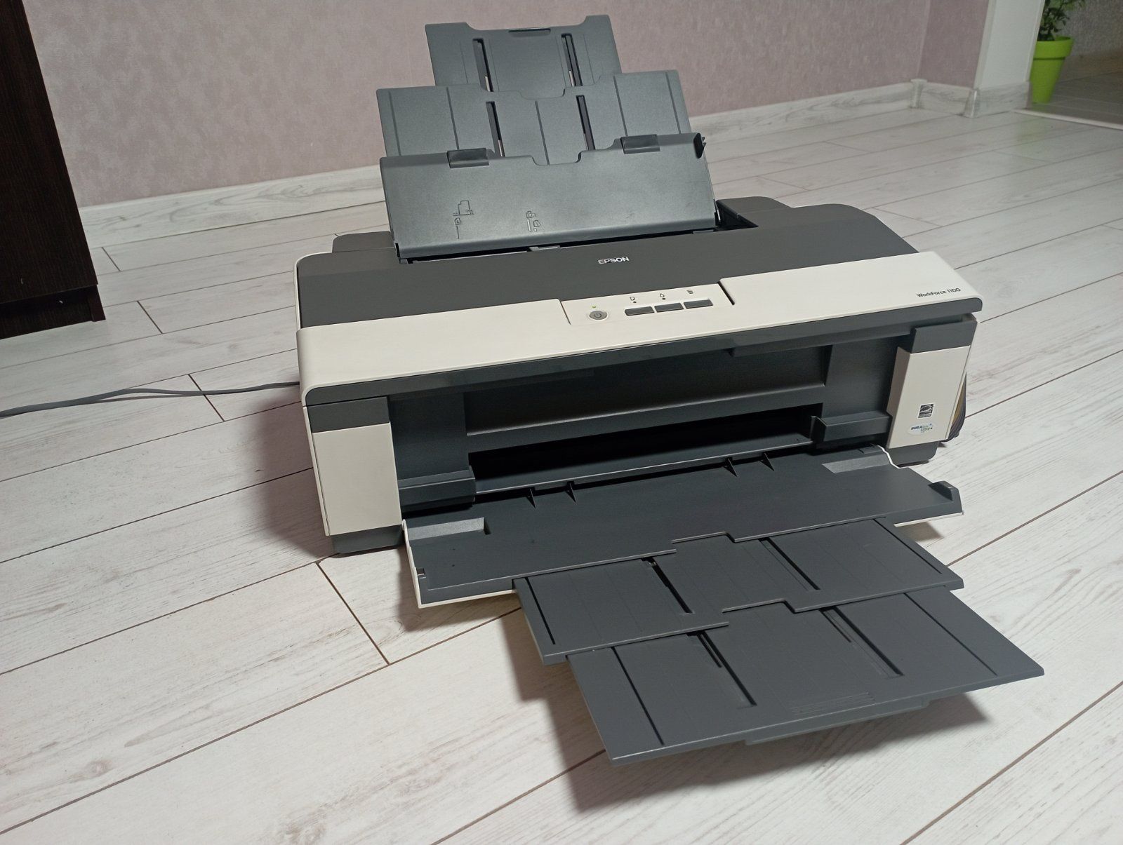 Epson Workforce 1100.