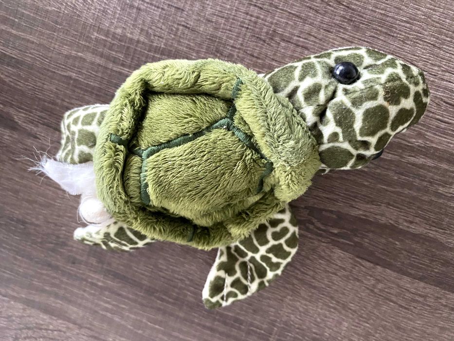 Tartaruga peluche brinquedo