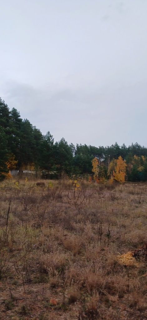 Продаж ділянки в с. Гореничі, с виходом до лісу.