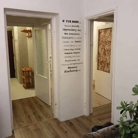 Wynajem mieszkania 3 pokoje