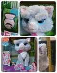 Interaktywny kotek FurReal Bootsie Hasbro