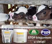 PECTOFEED PLUS przeciwko biegunce u cieląt