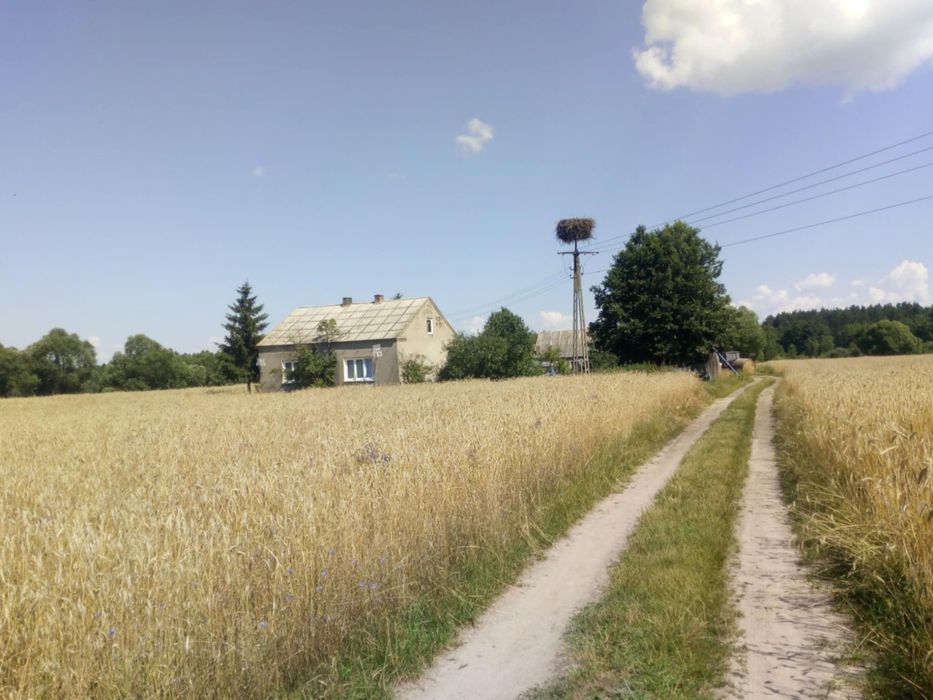 Siedlisko Łapinóż-Rumunki; dom, budynki gospodarcze, ziemia rolna