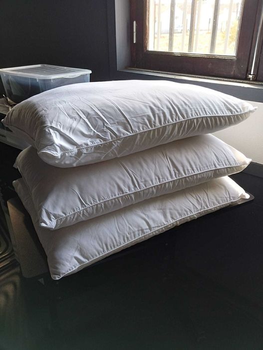 Conjunto de Almofadas media densidade