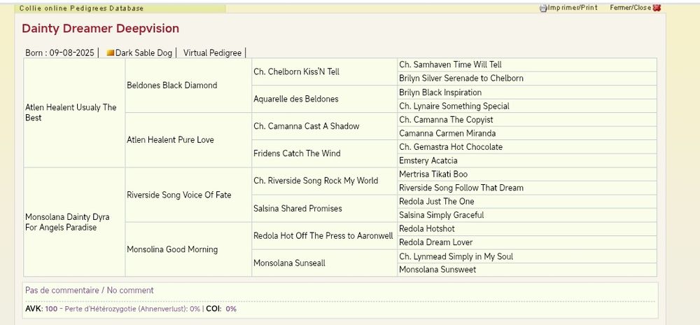 Owczarek szkocki długowłosy FCI