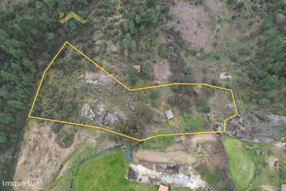 Terreno Rústico  Venda em Freixial e Juncal do Campo,Castelo Branco