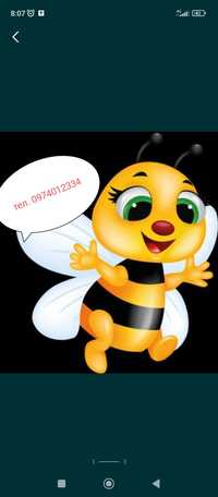 Бджолопакети / Пчелопакети