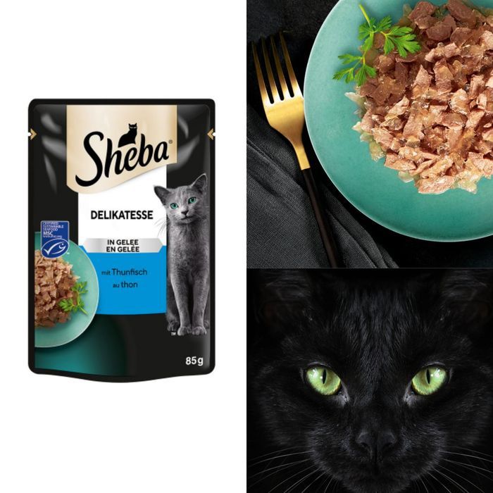 Sheba Delikatesse Mokra Karma Dla Kota Tuńczyk W Galaretce 28X85G