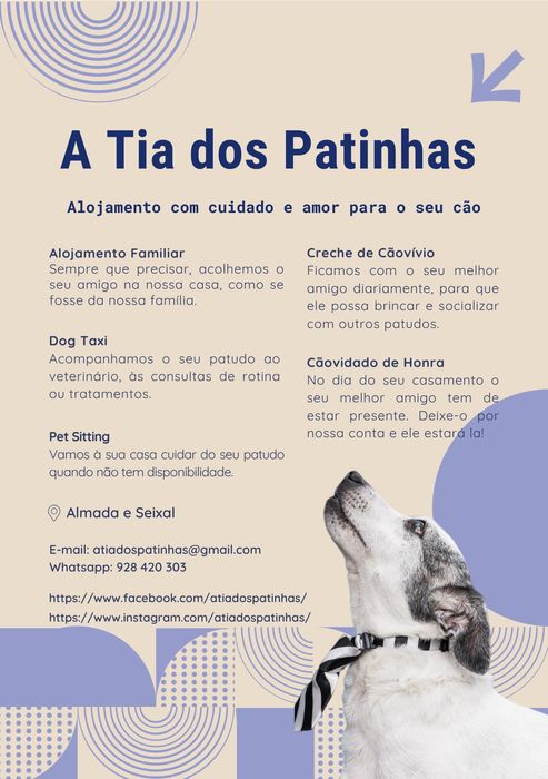 Alojamento, creche e outros serviços  para cão