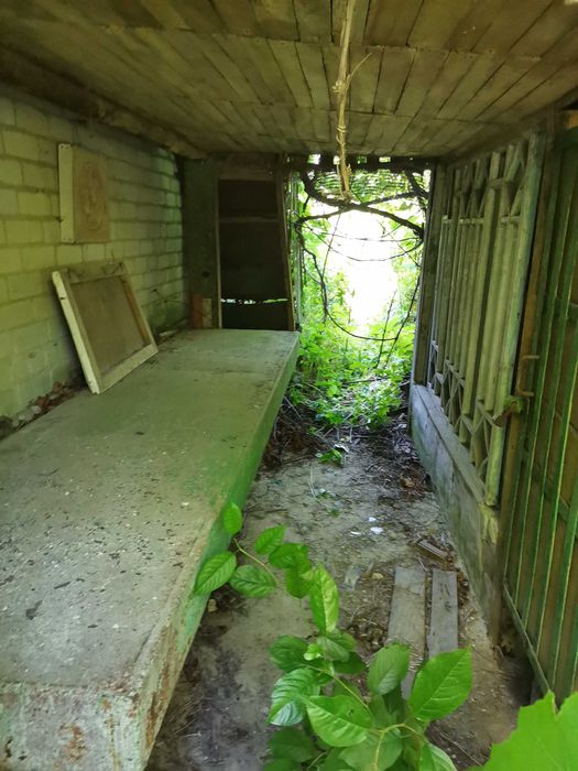 Дача, дом, садиба, земля с. Буки (Тетеревский массив), Житомир, Хозяин