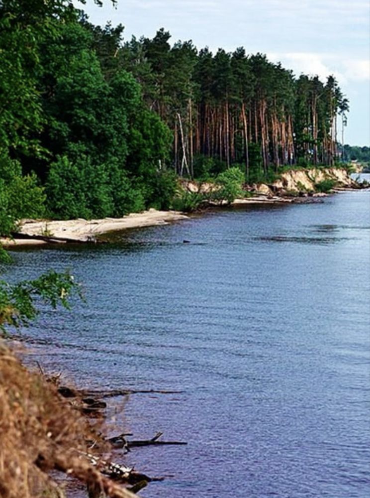 VIPділянка 0.57Га,вихід на Київське море,заповідник,поряд з Межигір'ям