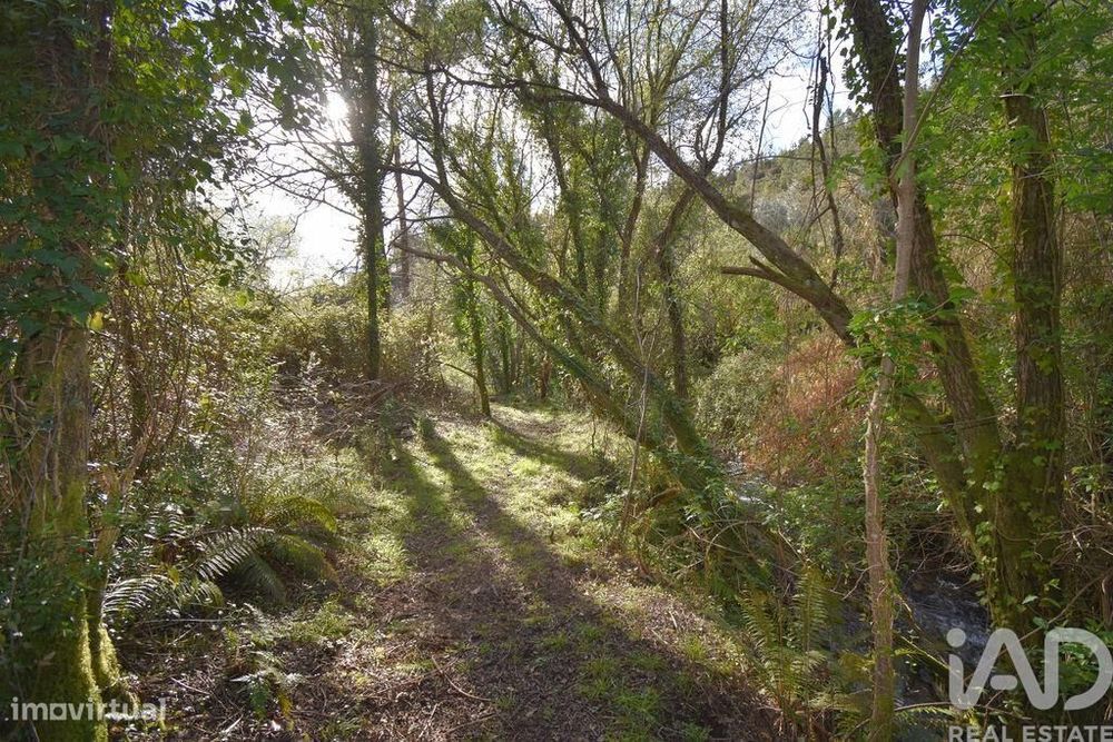 Terreno Agrícola em São Miguel, Santa Eufémia e Rabaçal