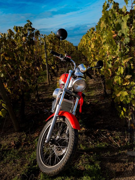 Aprilia classic 50 cc