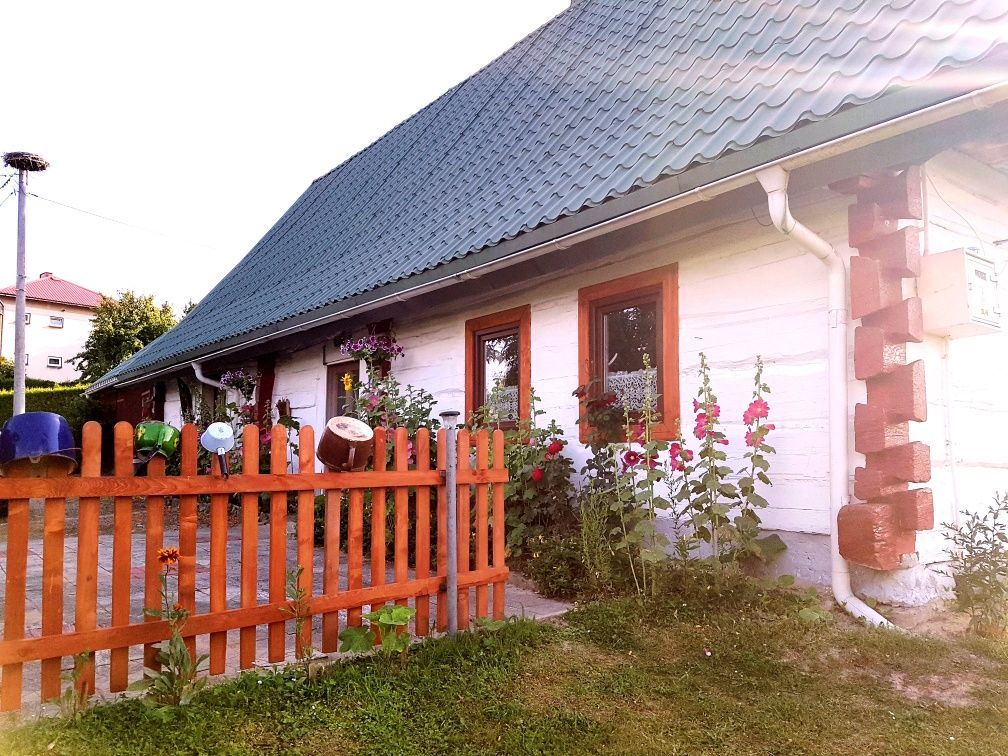 Noclegi domek do wynajęcia. Chata pod malwami bieszczady