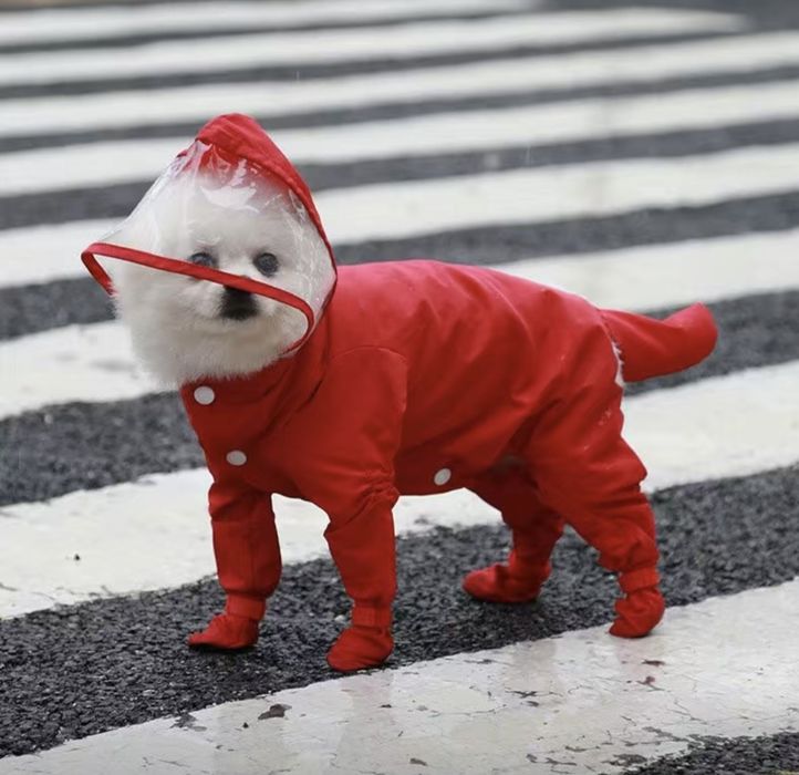 Дощовик для собак