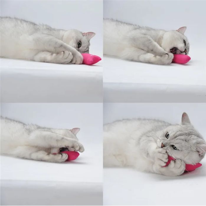Iграшки для котів з м'ятою