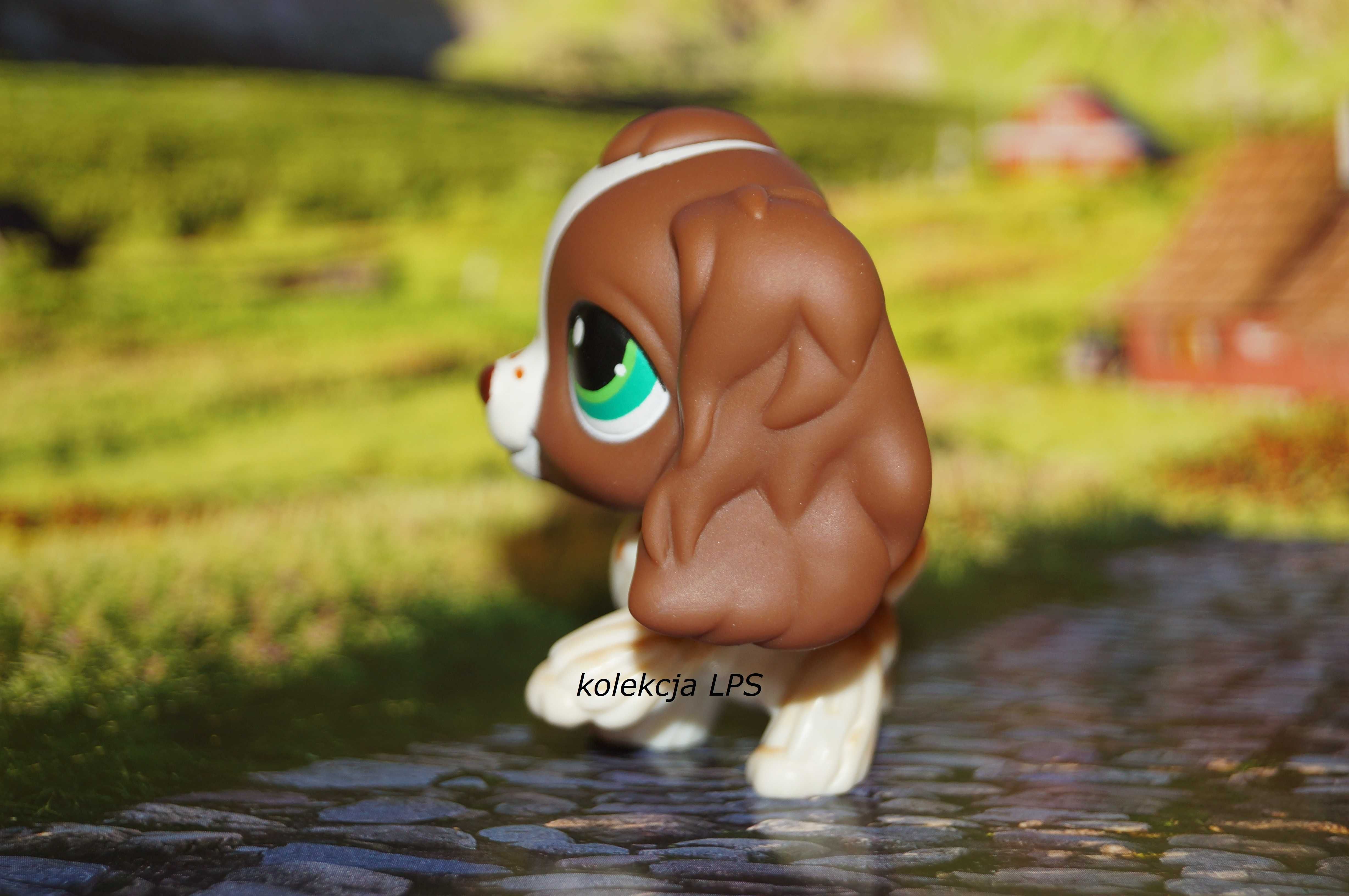 LPS Littlest Pet Shop spaniel #156 oryginalny pop oryginał z piegami
