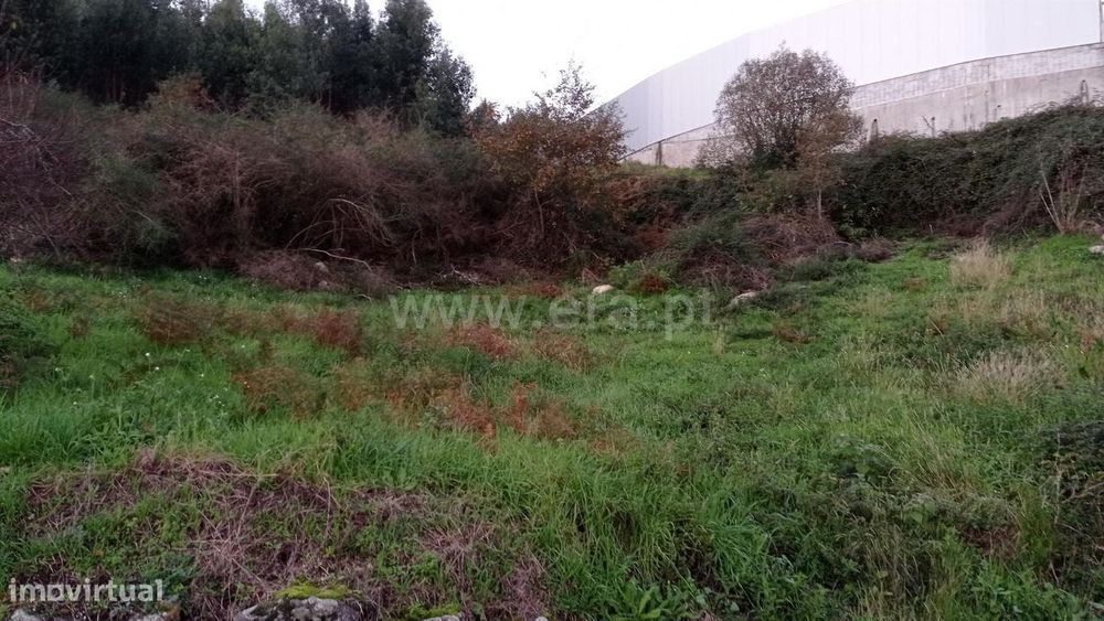 Terreno para construção com 10.000 m2 em Fafe
