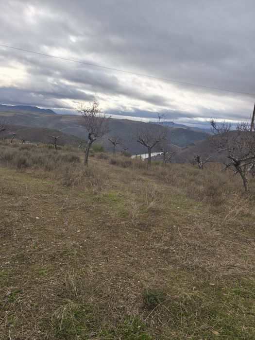 Terreno rústico em sequeiros