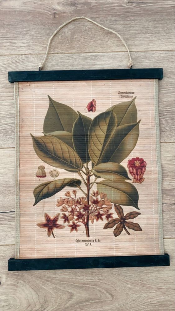 Decoração painel parede Bamboo borboleta planta