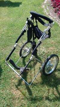 wózek dla suki / duży / z niepełnosprawnością tylnych nóg