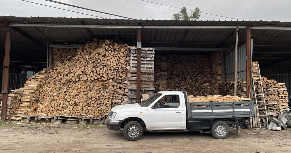 Lenha de eucalipto cortada