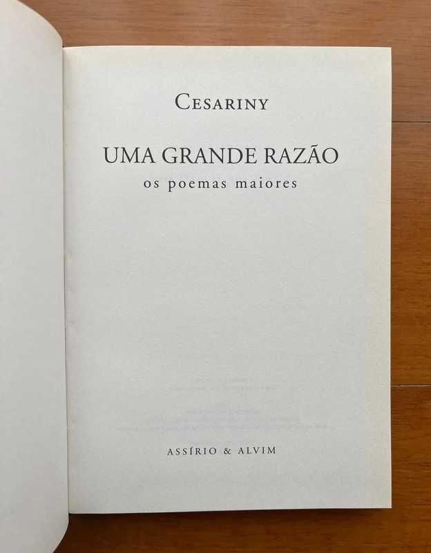 Livro "Uma Grande Razão - Os poemas maiores" de Mário Cesariny