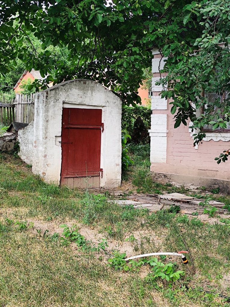 Продається будинок у м. Богуслав, вул. Яблунева