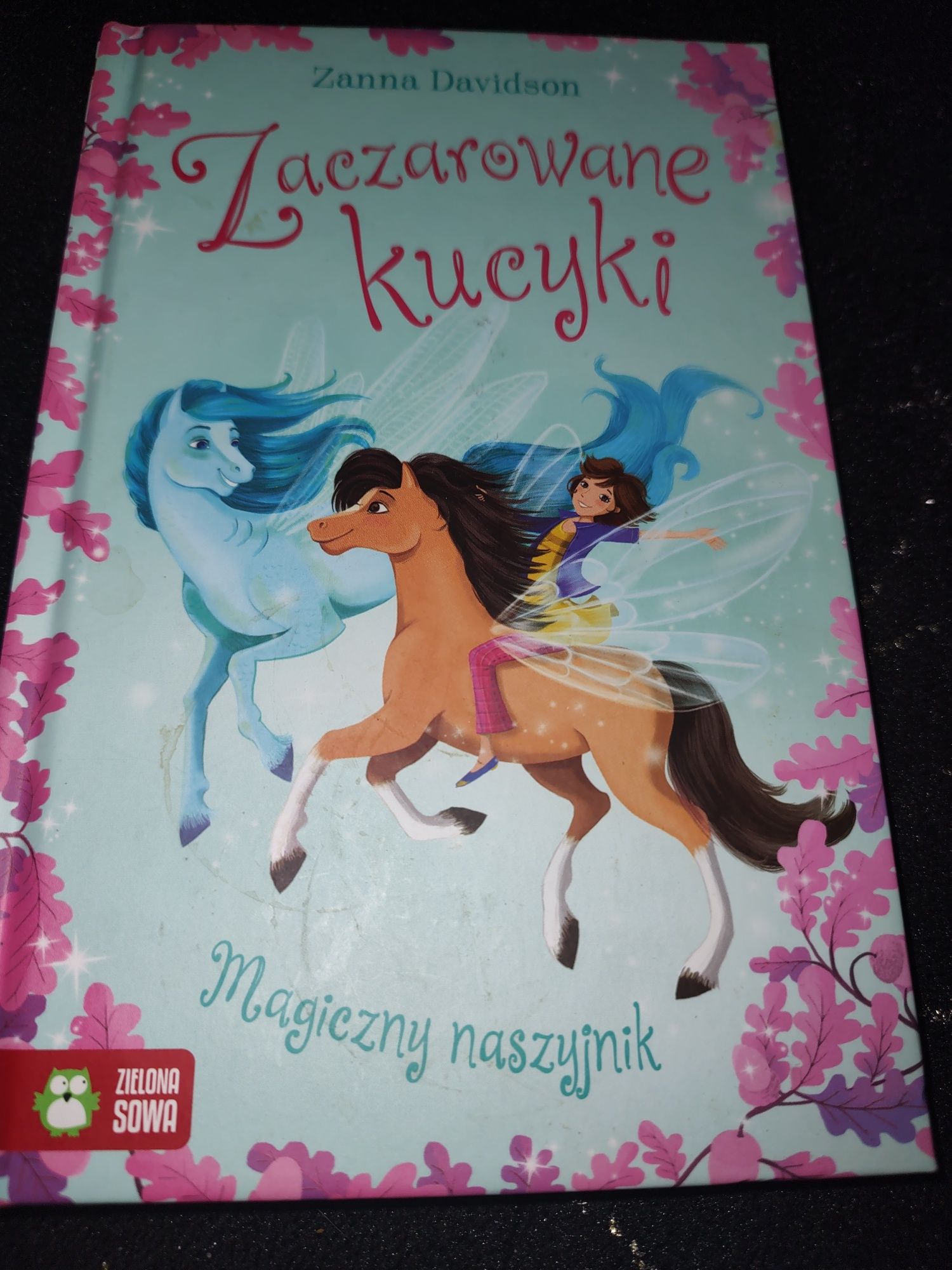 Książka Zaczarowane kucyki