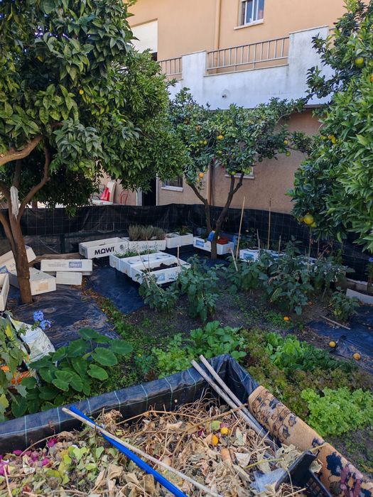 Tapete sintetico e similar