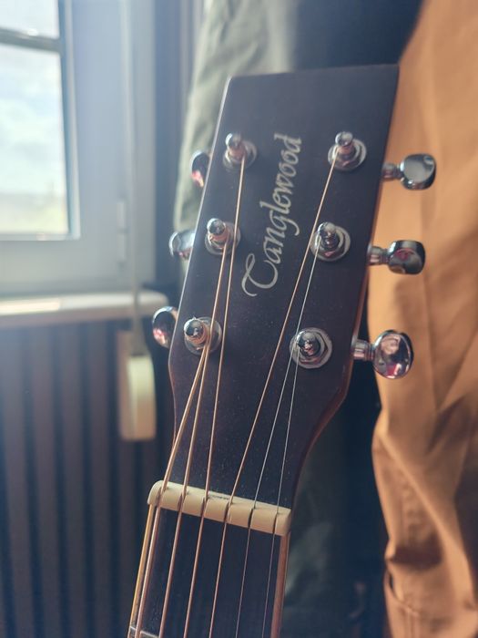 Tanglewood TW 11 D OL Winterleaf