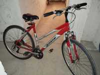 Rower damski Diamant