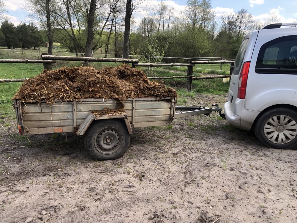 obornik koński ekologiczny