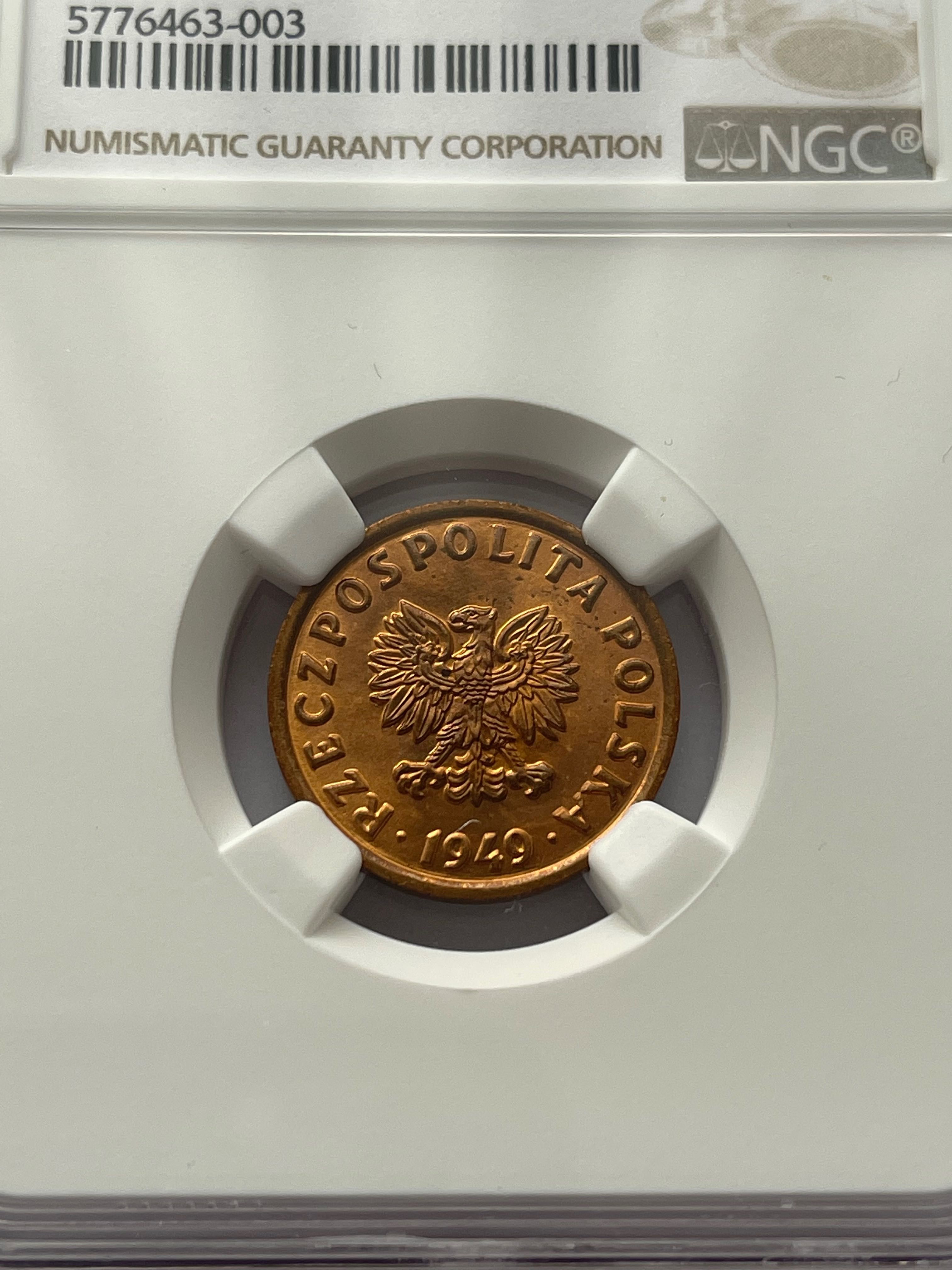 5 groszy 1949 MS66RD NGC MAX NOTA