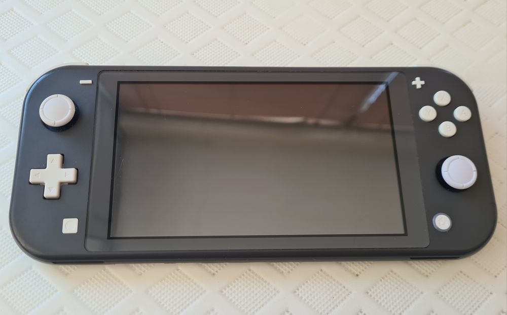 Nintendo Switch Lite Cinza personalizada (Garantia Loja)