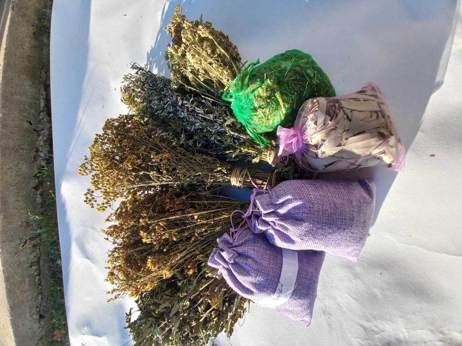 Банні віники дуб ,берёза, липа, хвоя эвкаліпт Трави3/5/65