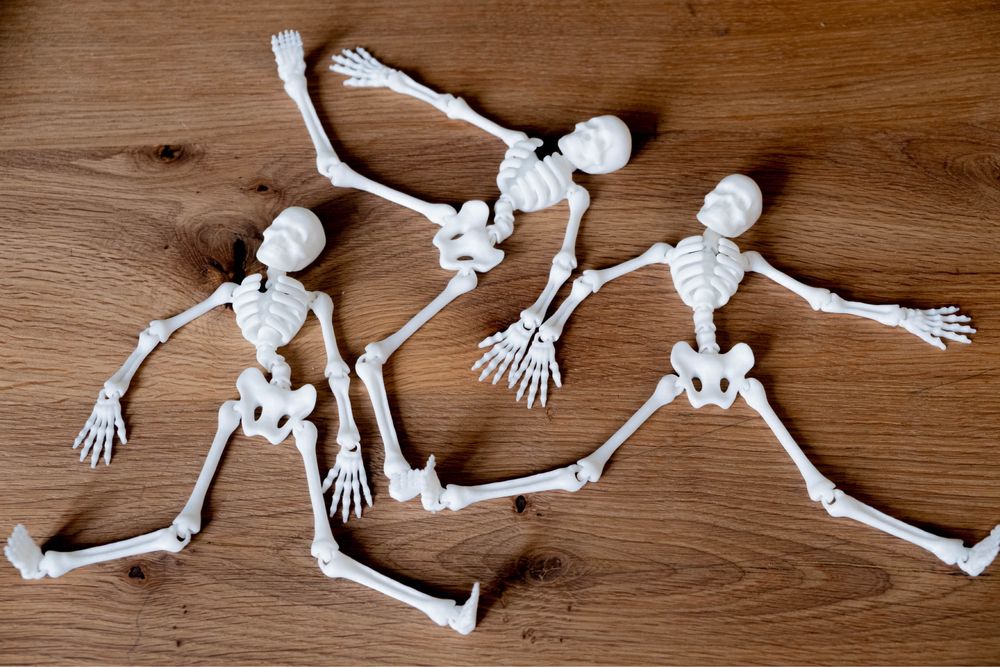 Рухомий скелет 23 см