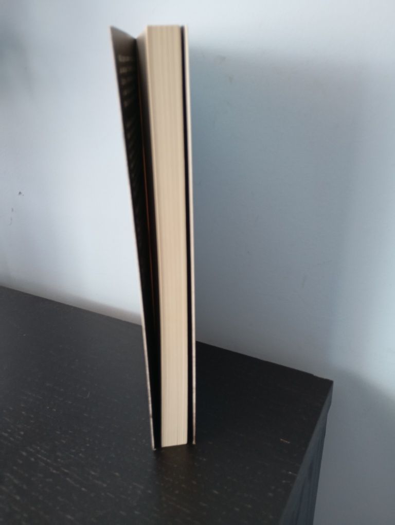 Livro de ficção "Crimes '