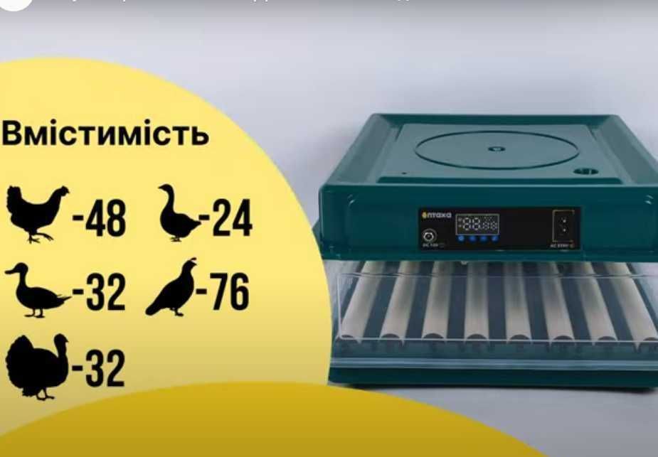 Пластиковий! Інкубатор автоматичний 48 яєць (12/220В) з овоскопом